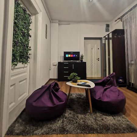 Fun House - Spacious Apartment Near Old Town ブラショフ エクステリア 写真
