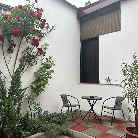 Fun House - Spacious Apartment Near Old Town ブラショフ エクステリア 写真