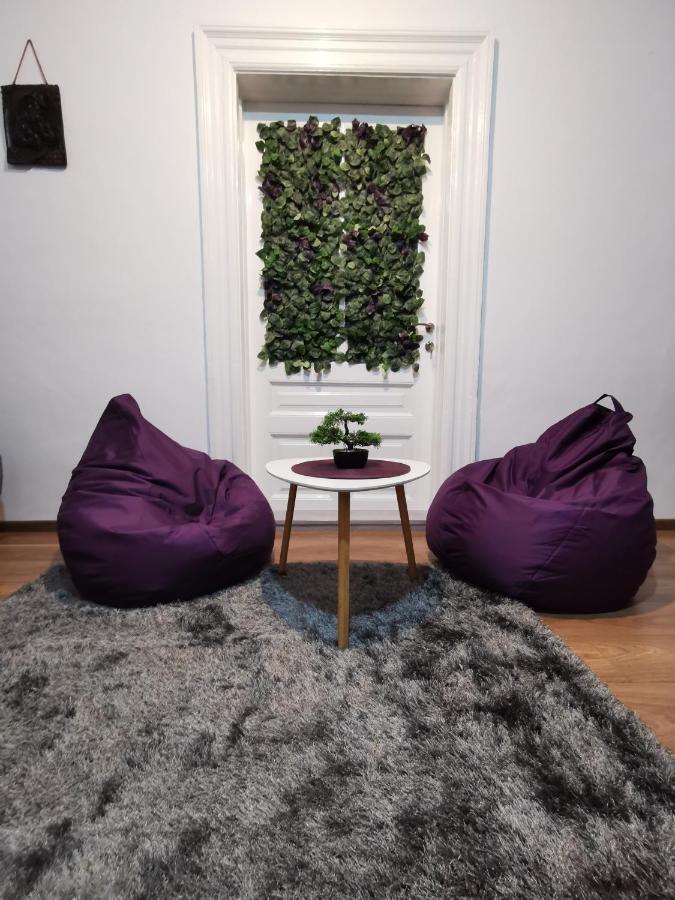Fun House - Spacious Apartment Near Old Town ブラショフ エクステリア 写真